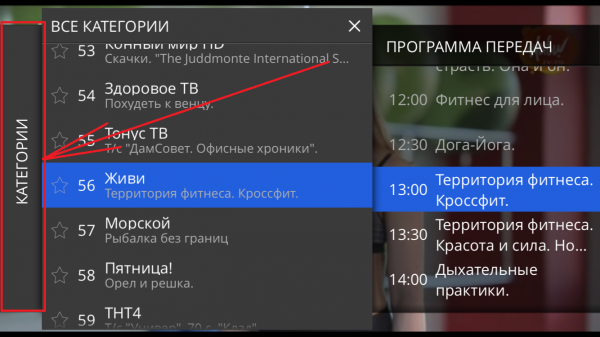 StalkerTV для iOS: экран просмотра телеканалов.