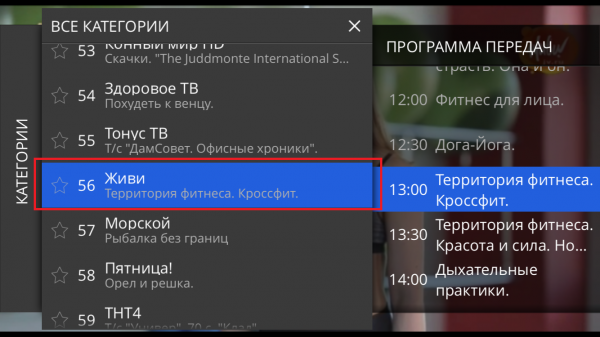 Выбор канала в телепрограмме.