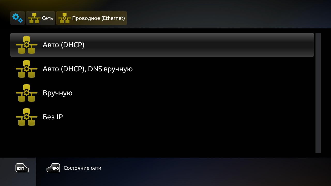 Выбор сетевого подключения и режима DNS вручную.