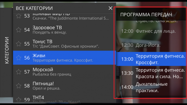 Телепрограмма выбранного канала.